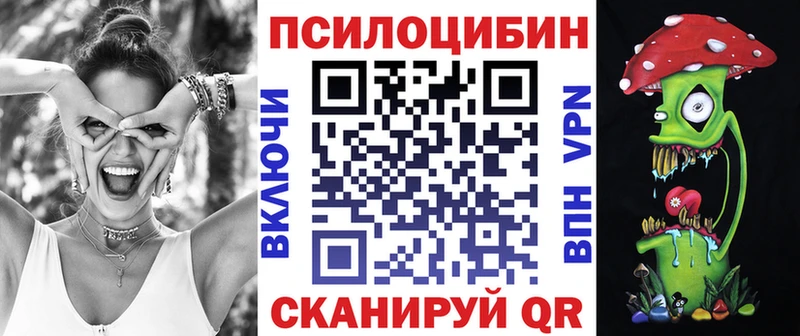 купить наркоту  Катайск  Псилоцибиновые грибы прущие грибы 